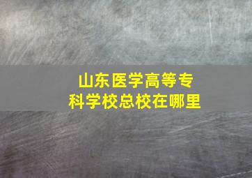 山东医学高等专科学校总校在哪里