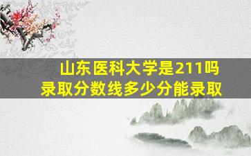 山东医科大学是211吗录取分数线多少分能录取