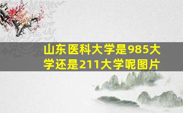 山东医科大学是985大学还是211大学呢图片