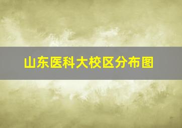 山东医科大校区分布图