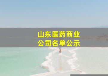 山东医药商业公司名单公示