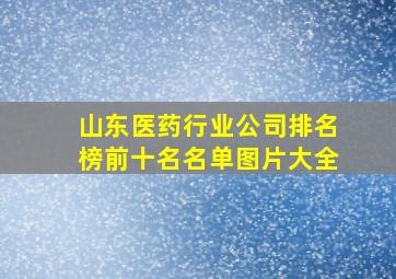 山东医药行业公司排名榜前十名名单图片大全