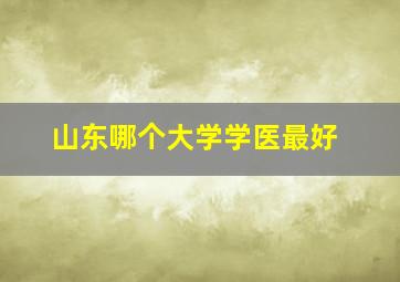 山东哪个大学学医最好