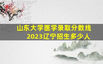 山东大学医学录取分数线2023辽宁招生多少人