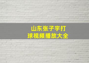 山东张子宇打球视频播放大全