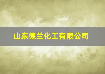 山东德兰化工有限公司