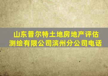 山东普尔特土地房地产评估测绘有限公司滨州分公司电话