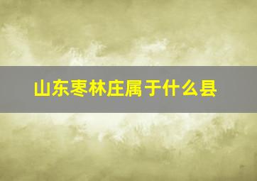 山东栆林庄属于什么县