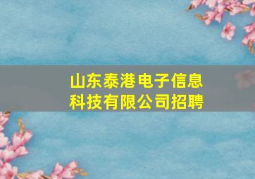 山东泰港电子信息科技有限公司招聘