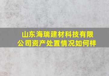 山东海瑞建材科技有限公司资产处置情况如何样