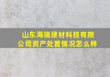 山东海瑞建材科技有限公司资产处置情况怎么样