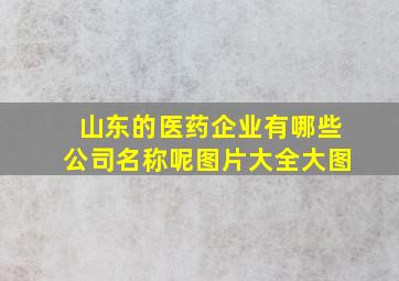 山东的医药企业有哪些公司名称呢图片大全大图