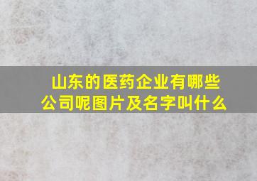 山东的医药企业有哪些公司呢图片及名字叫什么