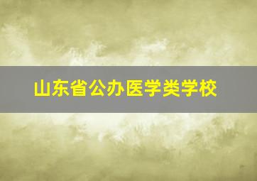 山东省公办医学类学校