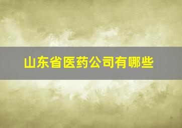 山东省医药公司有哪些