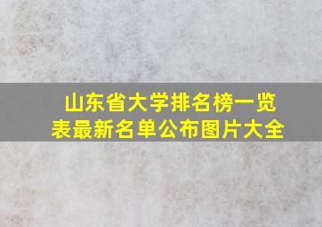 山东省大学排名榜一览表最新名单公布图片大全