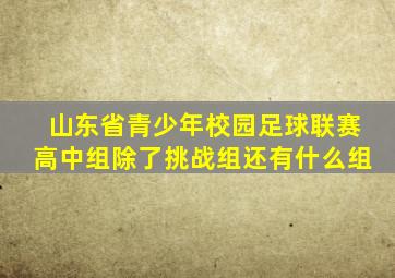 山东省青少年校园足球联赛高中组除了挑战组还有什么组