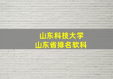 山东科技大学山东省排名软科