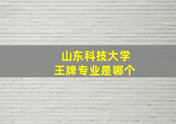 山东科技大学王牌专业是哪个