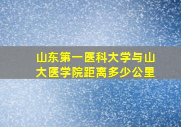 山东第一医科大学与山大医学院距离多少公里