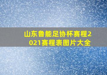 山东鲁能足协杯赛程2021赛程表图片大全