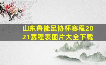 山东鲁能足协杯赛程2021赛程表图片大全下载