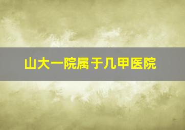 山大一院属于几甲医院