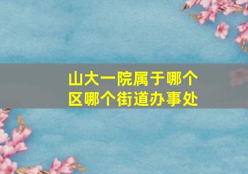 山大一院属于哪个区哪个街道办事处