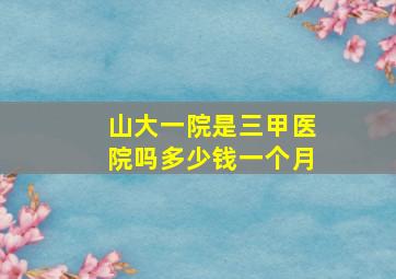 山大一院是三甲医院吗多少钱一个月