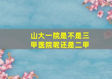 山大一院是不是三甲医院呢还是二甲