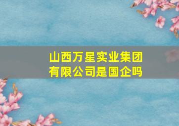 山西万星实业集团有限公司是国企吗