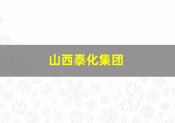 山西泰化集团