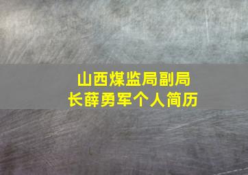 山西煤监局副局长薛勇军个人简历