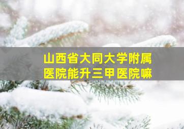 山西省大同大学附属医院能升三甲医院嘛