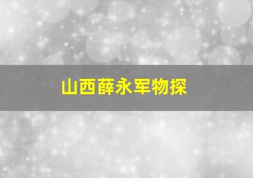 山西薛永军物探