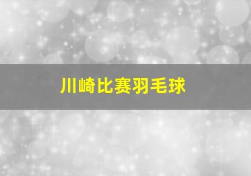 川崎比赛羽毛球