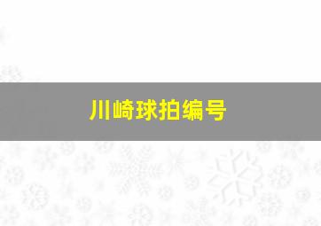 川崎球拍编号