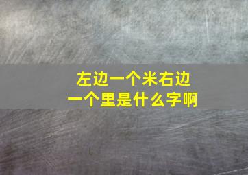 左边一个米右边一个里是什么字啊