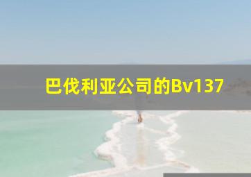 巴伐利亚公司的Bv137