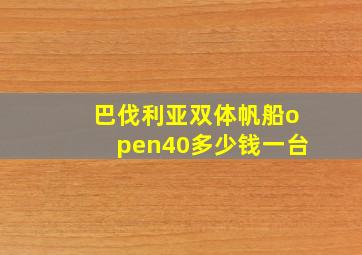 巴伐利亚双体帆船open40多少钱一台