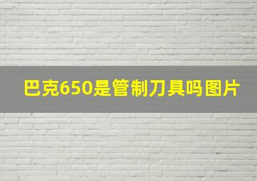 巴克650是管制刀具吗图片