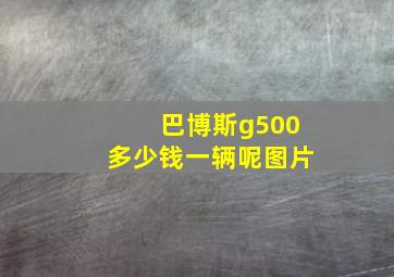 巴博斯g500多少钱一辆呢图片