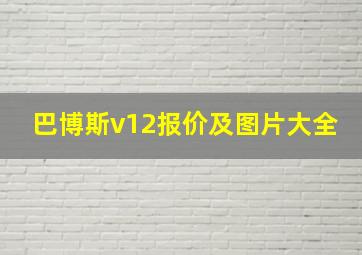 巴博斯v12报价及图片大全