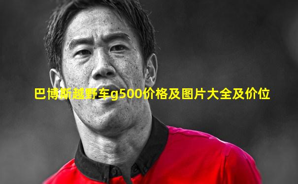 巴博斯越野车g500价格及图片大全及价位