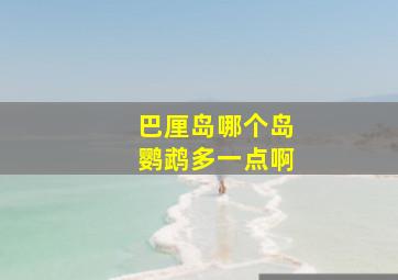 巴厘岛哪个岛鹦鹉多一点啊