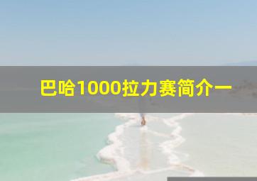 巴哈1000拉力赛简介一