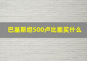 巴基斯坦500卢比能买什么