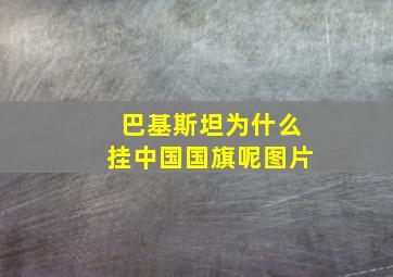 巴基斯坦为什么挂中国国旗呢图片