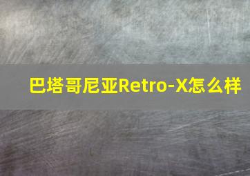 巴塔哥尼亚Retro-X怎么样