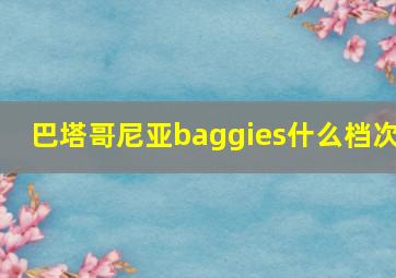 巴塔哥尼亚baggies什么档次